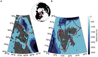 Fluorescence-based primary productivity estimates are influenced by non-photochemical quenching dynamics in Arctic phytoplankton